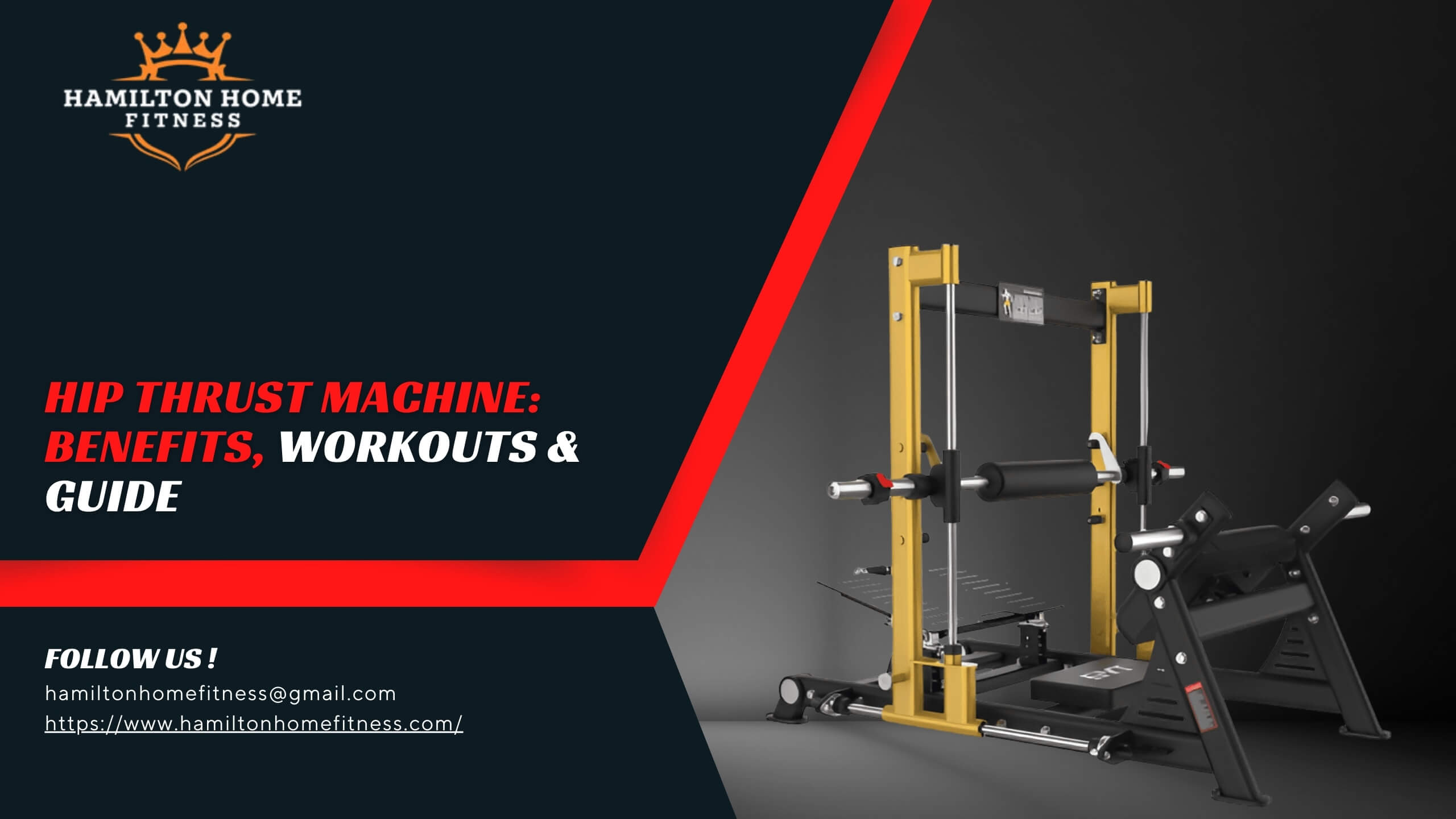 Hip Thrust Machine: Benefits, Workouts & Guide