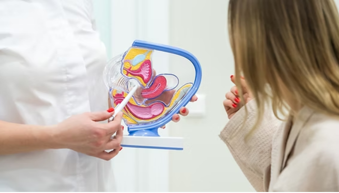 Egg Freezing for Fertility Preservation: Procedure and Benefits