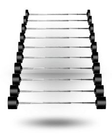 20 - 110 lb YORK Rubber Fixed Pro Straight Barbell Set