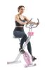 Sunny Health & Fitness Pink Foldable Magnetic X-Bike Pro - P2320