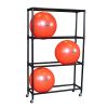 Body-Solid SSBR100 Stability Ball Rack