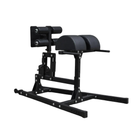 Ape Glute Ham Developer – GHD