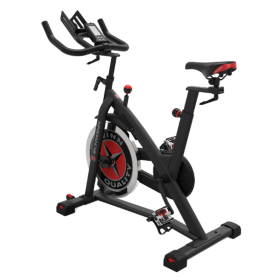 Schwinn IC3 Indoor Cycling Bike