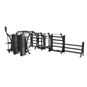 Hoist Fitness SEVEN ELEMENT FUNCTIONAL BRIDGE PS-7E-FB