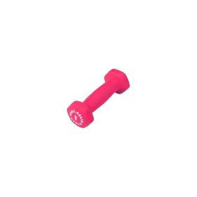 Body-Solid Tools BSTND Neoprene Dumbbells (weight: 1)